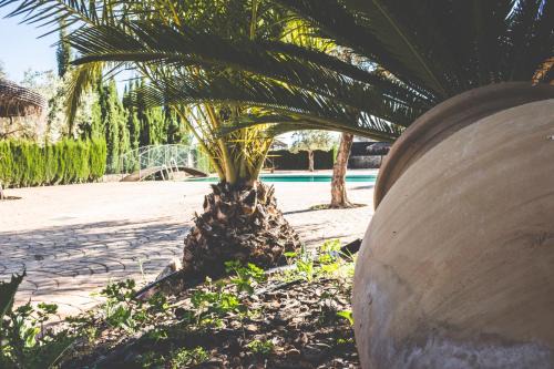 Charming house in Estepa with shared pool.