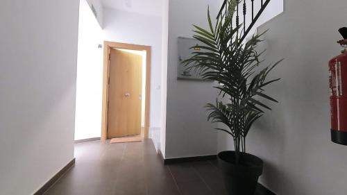 Alojamiento Los naranjos con Piscina y Parking gratuito